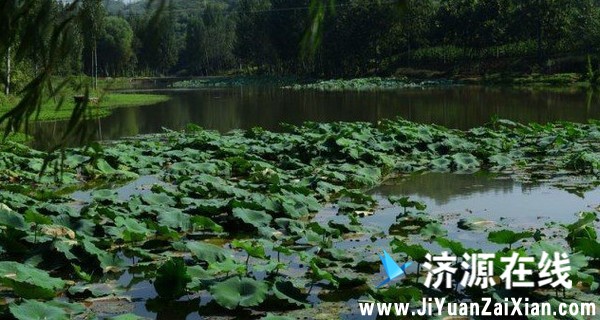 美丽天女河