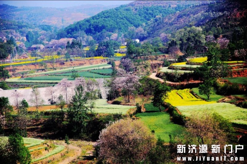 济源乡村一景