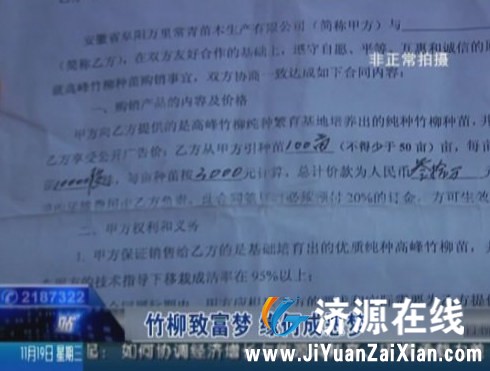 建业步行街的竹柳公司就是不折不扣的诈骗公司！