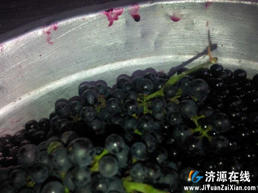 QQ图片20150212203149.jpg