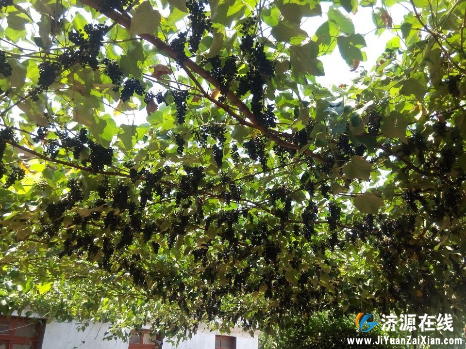 QQ图片20150212203039.jpg
