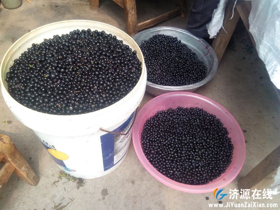 QQ图片20150212203108.jpg