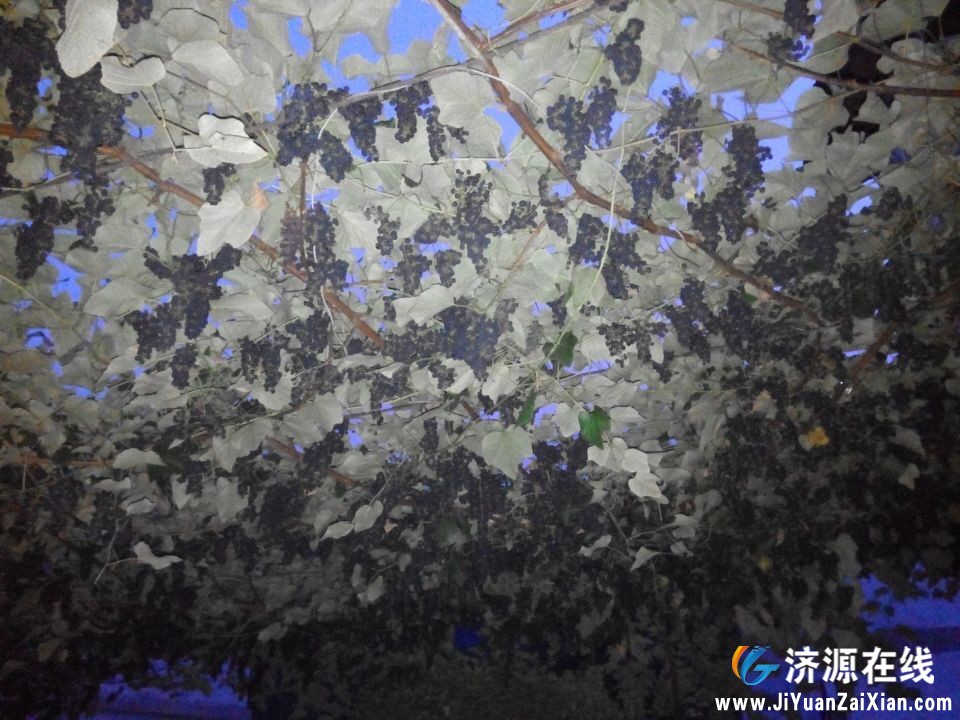 QQ图片20150212203104.jpg