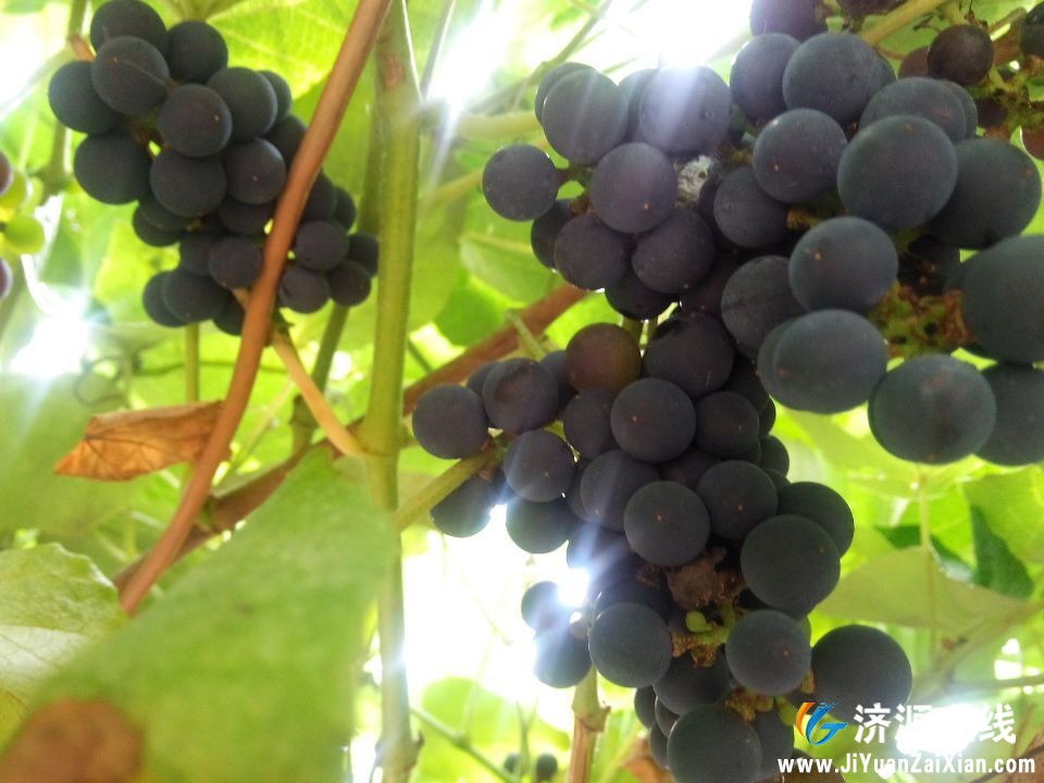 QQ图片20150212203131.jpg