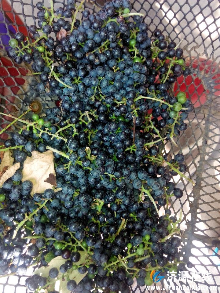 QQ图片20150212203134.jpg