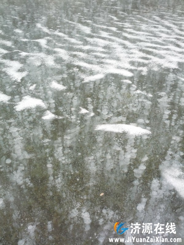IMG_20150214_114108.jpg
