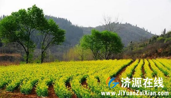 QQ图片20150313193548.jpg