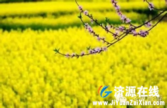 201503241105527804.jpg
