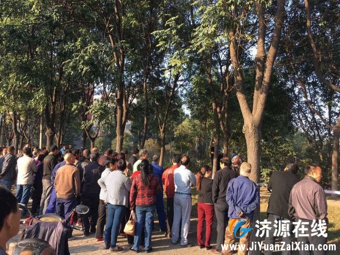 QQ图片20151015093551.jpg