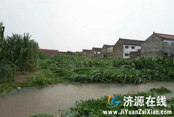 095312mnaqbfmgrgvnt7q1.jpg