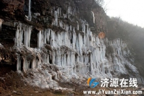 大峪东沟青萝河的冰挂