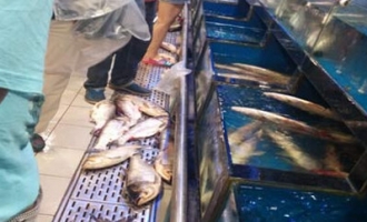 济源永辉超市还能让放心购物么?
