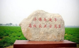 济源冬凌草种子 搭载“实践十号”进入太空