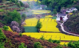 2016美丽乡村文化旅游节昨日在大峪东沟开幕