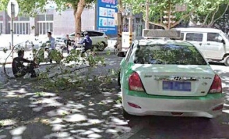 大风刮下树枝砸中出租车 司机堵宣化街讨说法