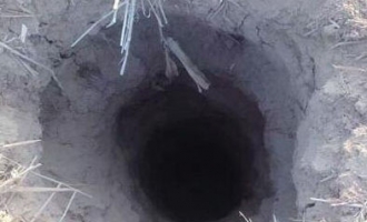 济源南官居庄玉米地里发现洞穴 文物人员：盗墓贼留下的