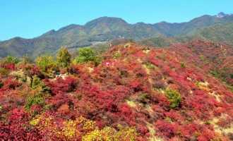 穿越神仙居住的地方----济源神沟，赏最美红叶！