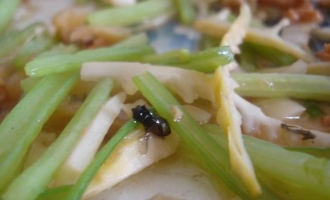 济源这六个人真会玩，饭店用餐竟自己往饭菜里放苍蝇......