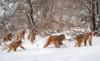 济源5大景区门票大放“价”，邀你一起来嗨！