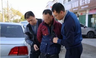 济源公安机关成功打掉一盗窃牲畜团伙